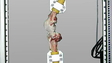 Ensaio de carga na articulação do joelho humano