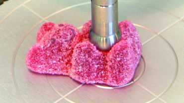 Texturanalyse an Lebensmitteln - Druckstempel an Gummibär
